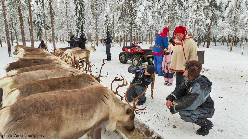 Vaara reindeer Farm