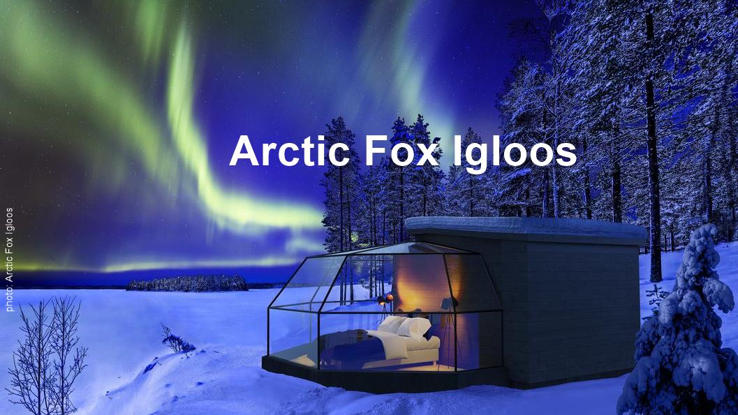 Arctic Fox Glass Igloos | Finland-Holiday.com
