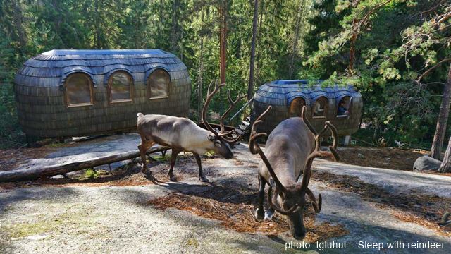 Igluhut – Sleep with reindeer 