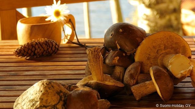 Отдых в Финляндии. Коттедж летом.