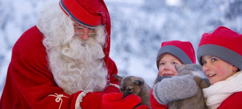 Rovaniemi glass igloos search