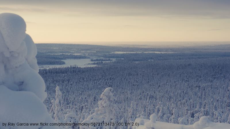 Rovaniemi winter view